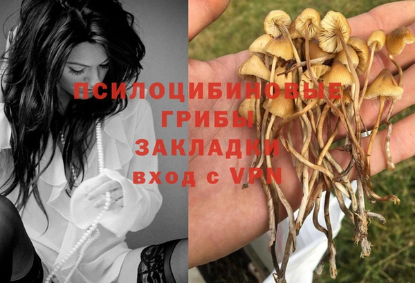 ешки Абинск