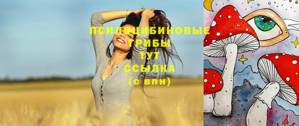 СК Абдулино