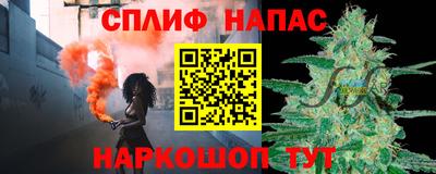 СК Пугачёв
