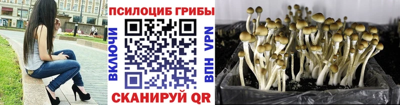 Псилоцибиновые грибы Cubensis  дарнет шоп  Партизанск 
