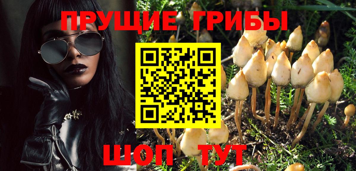 Партизанск  Псилоцибиновые грибы ЛСД  Вход с VPN  Псилоцибиновые грибы GOLDEN TEACHER 